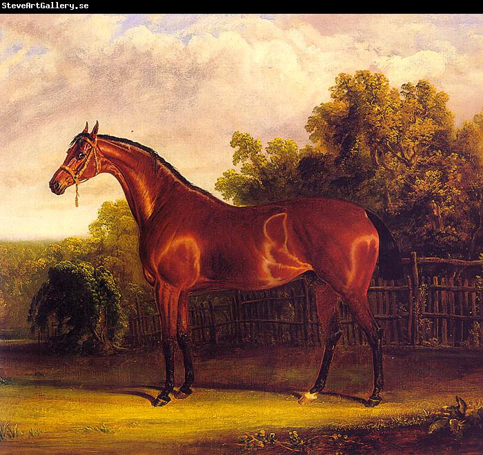 Herring, John F. Sr. Negotiator the Bay Horse in a Landscape